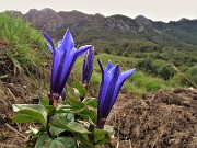 In RESEGONE, Punta Cermenati 1875 m, da Fuipiano-27sett22- FOTOGALLERY